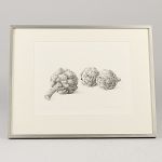 1700 4316 ETCHING